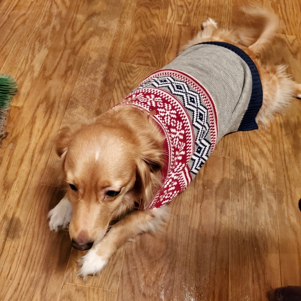 Agent 00K9 Buster
